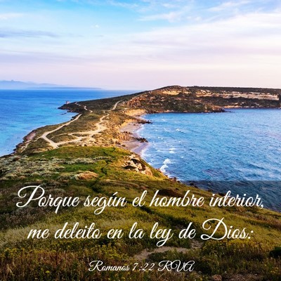 Picture 03 - Romanos 7:22 RVA - Porque según el hombre interior, me deleito en - Bible Verse Picture