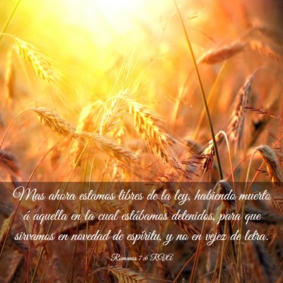 Picture 03 - Romanos 7:6 RVA - Mas ahora estamos libres de la ley, habiendo - Bible Verse Picture