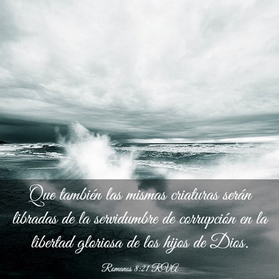 Picture 03 - Romanos 8:21 RVA - Que también las mismas criaturas serán libradas - Bible Verse Picture