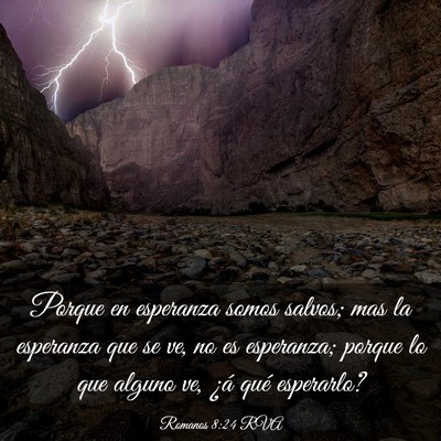Picture 03 - Romanos 8:24 RVA - Porque en esperanza somos salvos; mas la - Bible Verse Picture