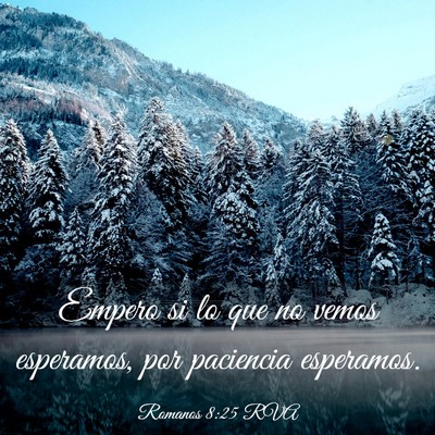 Picture 03 - Romanos 8:25 RVA - Empero si lo que no vemos esperamos, por - Bible Verse Picture