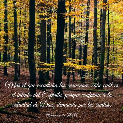 Picture 03 - Romanos 8:27 RVA - Mas el que escudriña los corazones, sabe cuál - Bible Verse Picture