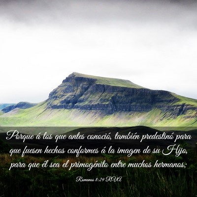 Picture 03 - Romanos 8:29 RVA - Porque á los que antes conoció, también - Bible Verse Picture