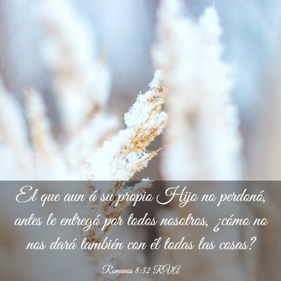 Picture 03 - Romanos 8:32 RVA - El que aun á su propio Hijo no perdonó, antes - Bible Verse Picture