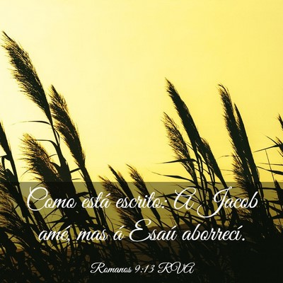 Picture 03 - Romanos 9:13 RVA - Como está escrito: A Jacob amé, mas á Esaú - Bible Verse Picture