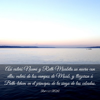 Picture 03 - Rut 1:22 RVA - Así volvió Noemi y Ruth Moabita su nuera con - Bible Verse Picture
