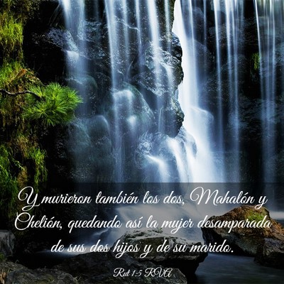 Picture 03 - Rut 1:5 RVA - Y murieron también los dos, Mahalón y Chelión, - Bible Verse Picture