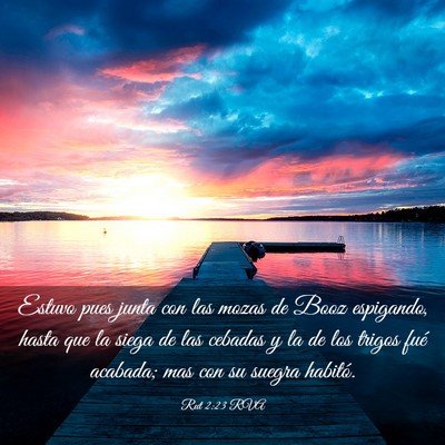 Picture 03 - Rut 2:23 RVA - Estuvo pues junta con las mozas de Booz - Bible Verse Picture
