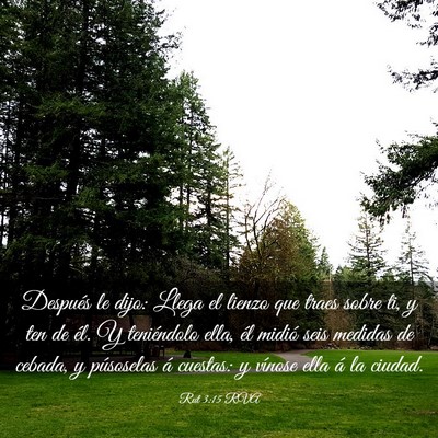 Picture 03 - Rut 3:15 RVA - Después le dijo: Llega el lienzo que traes sobre - Bible Verse Picture