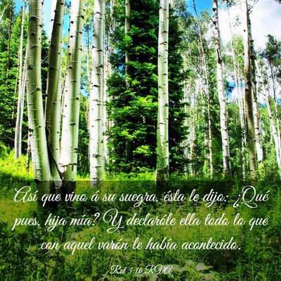 Picture 03 - Rut 3:16 RVA - Así que vino á su suegra, ésta le dijo: ¿Qué - Bible Verse Picture