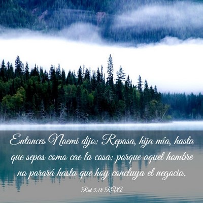 Picture 03 - Rut 3:18 RVA - Entonces Noemi dijo: Reposa, hija mía, hasta que - Bible Verse Picture