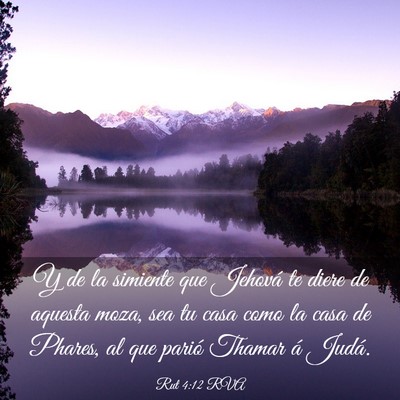 Picture 03 - Rut 4:12 RVA - Y de la simiente que Jehová te diere de aquesta - Bible Verse Picture