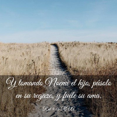 Picture 03 - Rut 4:16 RVA - Y tomando Noemi el hijo, púsolo en su regazo, y - Bible Verse Picture