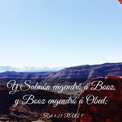 Picture 03 - Rut 4:21 RVA - Y Salmón engendró á Booz, y Booz engendró á - Bible Verse Picture