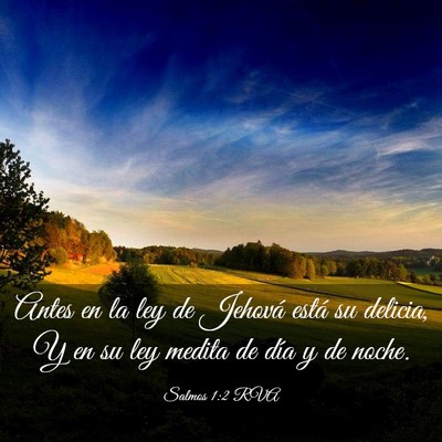 Picture 03 - Salmos 1:2 RVA - Antes en la ley de Jehová está su delicia, Y en - Bible Verse Picture