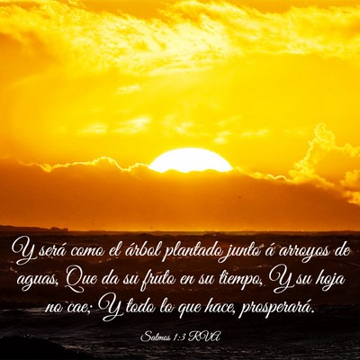 Picture 03 - Salmos 1:3 RVA - Y será como el árbol plantado junto á arroyos - Bible Verse Picture