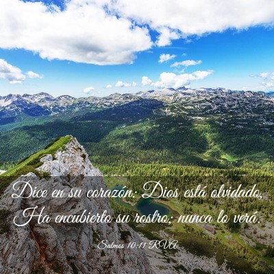 Picture 03 - Salmos 10:11 RVA - Dice en su corazón: Dios está olvidado, Ha - Bible Verse Picture