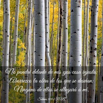 Picture 03 - Salmos 101:3 RVA - No pondré delante de mis ojos cosa injusta: - Bible Verse Picture