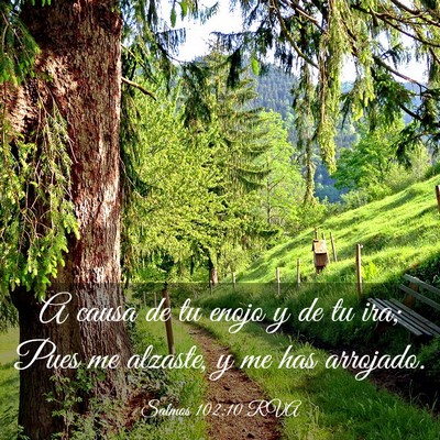Picture 03 - Salmos 102:10 RVA - A causa de tu enojo y de tu ira; Pues me alzaste, - Bible Verse Picture