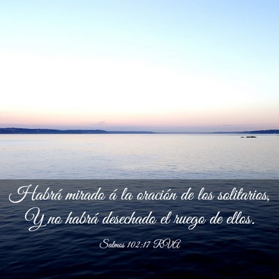 Picture 03 - Salmos 102:17 RVA - Habrá mirado á la oración de los solitarios, Y - Bible Verse Picture