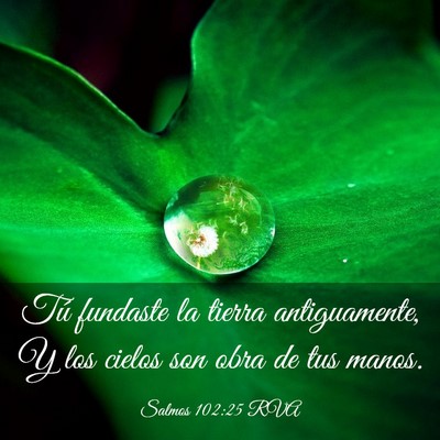 Picture 03 - Salmos 102:25 RVA - Tú fundaste la tierra antiguamente, Y los cielos - Bible Verse Picture
