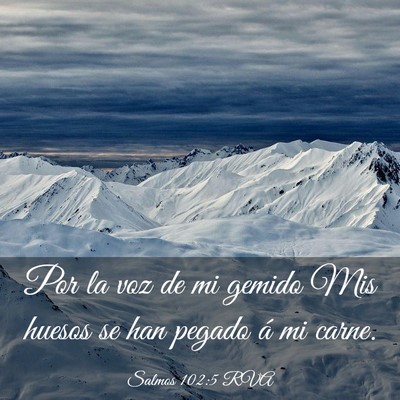 Picture 03 - Salmos 102:5 RVA - Por la voz de mi gemido Mis huesos se han pegado - Bible Verse Picture