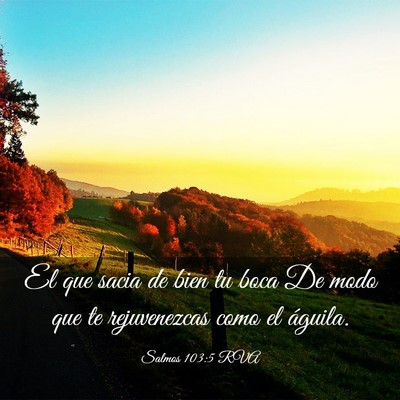 Picture 03 - Salmos 103:5 RVA - El que sacia de bien tu boca De modo que te - Bible Verse Picture