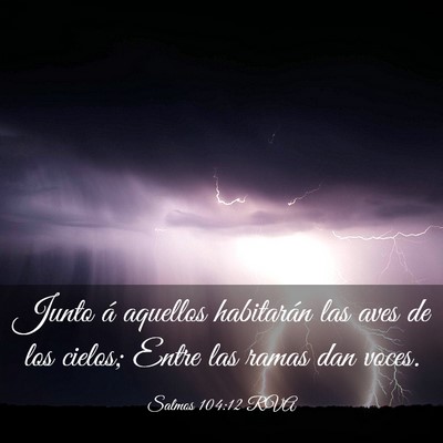 Picture 03 - Salmos 104:12 RVA - Junto á aquellos habitarán las aves de los - Bible Verse Picture
