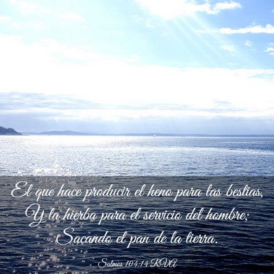 Picture 03 - Salmos 104:14 RVA - El que hace producir el heno para las bestias, Y - Bible Verse Picture