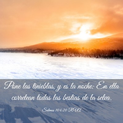 Picture 03 - Salmos 104:20 RVA - Pone las tinieblas, y es la noche: En ella - Bible Verse Picture