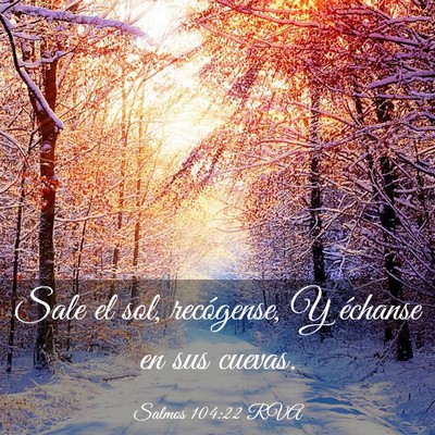 Picture 03 - Salmos 104:22 RVA - Sale el sol, recógense, Y échanse en sus - Bible Verse Picture