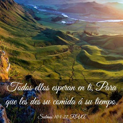 Picture 03 - Salmos 104:27 RVA - Todos ellos esperan en ti, Para que les des su - Bible Verse Picture