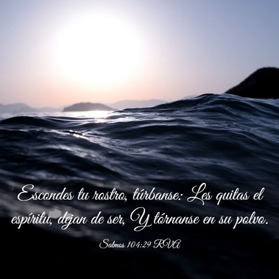 Picture 03 - Salmos 104:29 RVA - Escondes tu rostro, túrbanse: Les quitas el - Bible Verse Picture