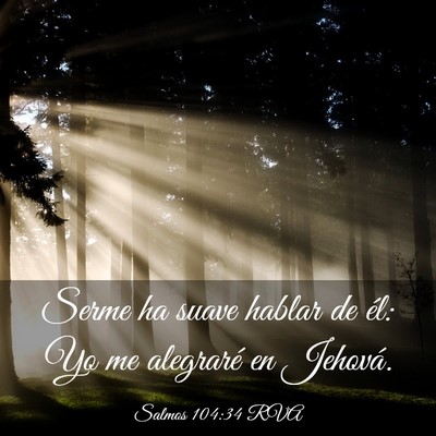 Picture 03 - Salmos 104:34 RVA - Serme ha suave hablar de él: Yo me alegraré en - Bible Verse Picture