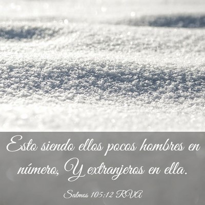 Picture 03 - Salmos 105:12 RVA - Esto siendo ellos pocos hombres en número, Y - Bible Verse Picture