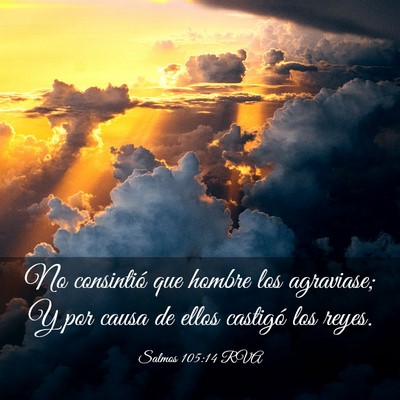 Picture 03 - Salmos 105:14 RVA - No consintió que hombre los agraviase; Y por - Bible Verse Picture