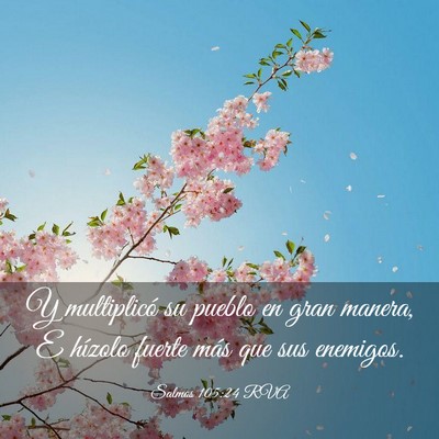 Picture 03 - Salmos 105:24 RVA - Y multiplicó su pueblo en gran manera, E hízolo - Bible Verse Picture