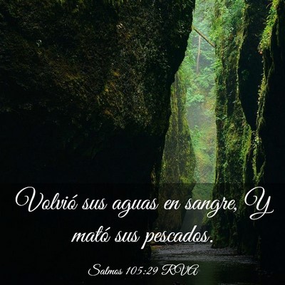 Picture 03 - Salmos 105:29 RVA - Volvió sus aguas en sangre, Y mató sus - Bible Verse Picture