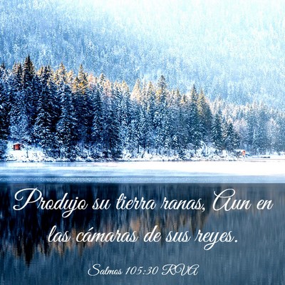 Picture 03 - Salmos 105:30 RVA - Produjo su tierra ranas, Aun en las cámaras de - Bible Verse Picture