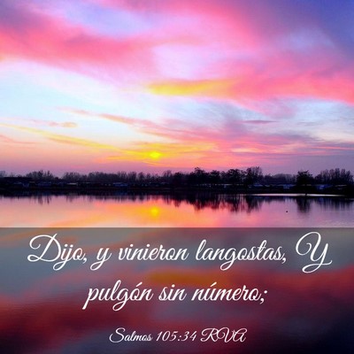 Picture 03 - Salmos 105:34 RVA - Dijo, y vinieron langostas, Y pulgón sin - Bible Verse Picture
