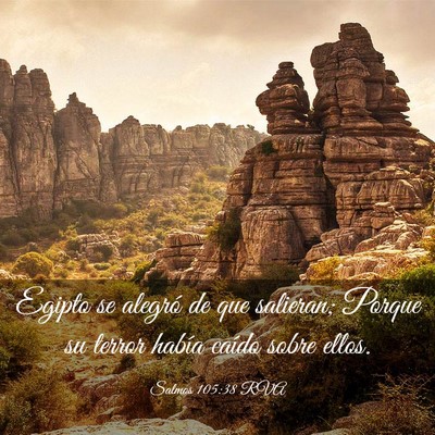 Picture 03 - Salmos 105:38 RVA - Egipto se alegró de que salieran; Porque su - Bible Verse Picture