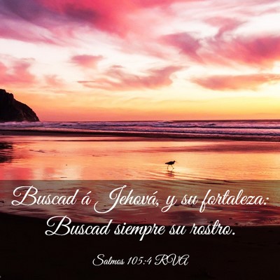 Picture 03 - Salmos 105:4 RVA - Buscad á Jehová, y su fortaleza: Buscad siempre - Bible Verse Picture