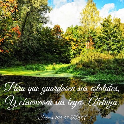 Picture 03 - Salmos 105:45 RVA - Para que guardasen sus estatutos, Y observasen - Bible Verse Picture