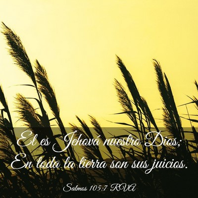 Picture 03 - Salmos 105:7 RVA - El es Jehová nuestro Dios; En toda la tierra son - Bible Verse Picture