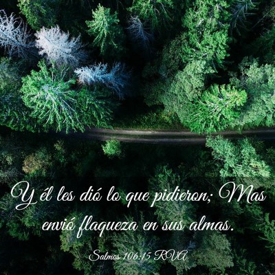 Picture 03 - Salmos 106:15 RVA - Y él les dió lo que pidieron; Mas envió - Bible Verse Picture