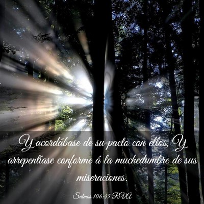 Picture 03 - Salmos 106:45 RVA - Y acordábase de su pacto con ellos, Y - Bible Verse Picture