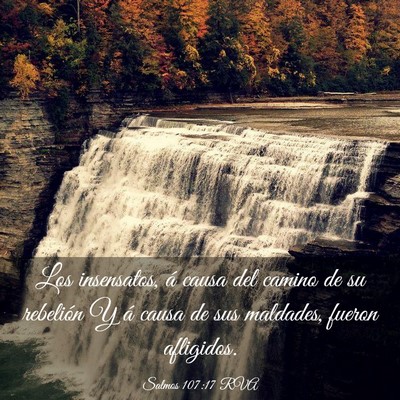 Picture 03 - Salmos 107:17 RVA - Los insensatos, á causa del camino de su - Bible Verse Picture