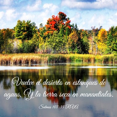 Picture 03 - Salmos 107:35 RVA - Vuelve el desierto en estanques de aguas, Y la - Bible Verse Picture