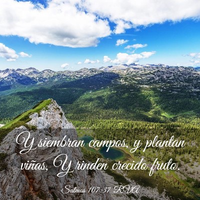Picture 03 - Salmos 107:37 RVA - Y siembran campos, y plantan viñas, Y rinden - Bible Verse Picture