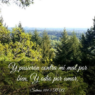 Picture 03 - Salmos 109:5 RVA - Y pusieron contra mí mal por bien, Y odio por - Bible Verse Picture